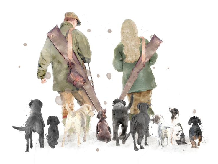 Chasing Tails logo: a dog walker in a green jacket leading a pack of eight dogs
